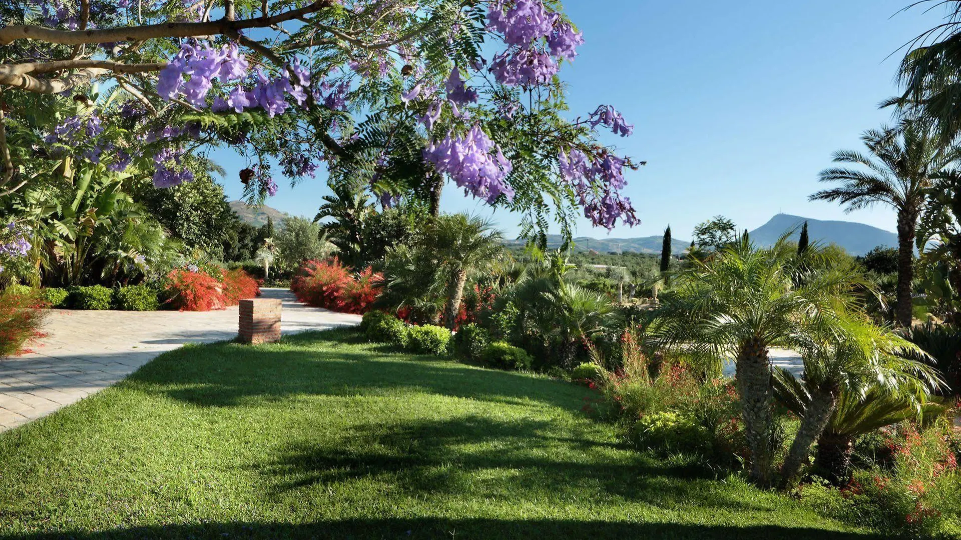 Country house Il Baglio Della Luna Guest House Partinico